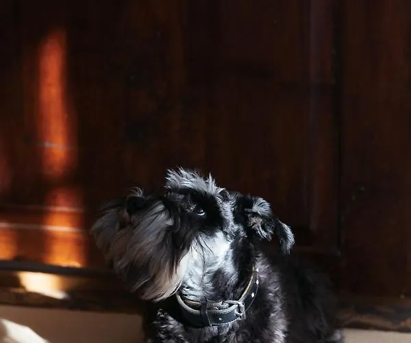 فندق لينداوير هوف لينداو