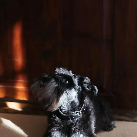 ホテル リンダウワー ホフ リンダウ