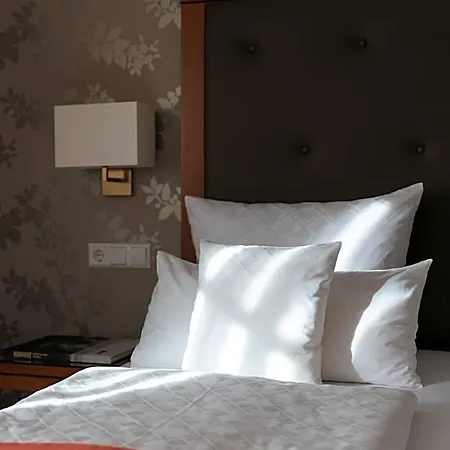 Hotel Lindauer Hof Lindau (Bodensee)